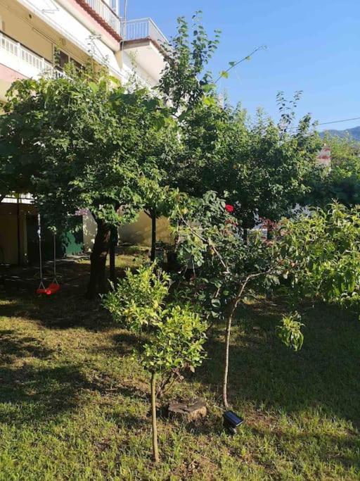Evangelias House! Daire Stavros  Dış mekan fotoğraf